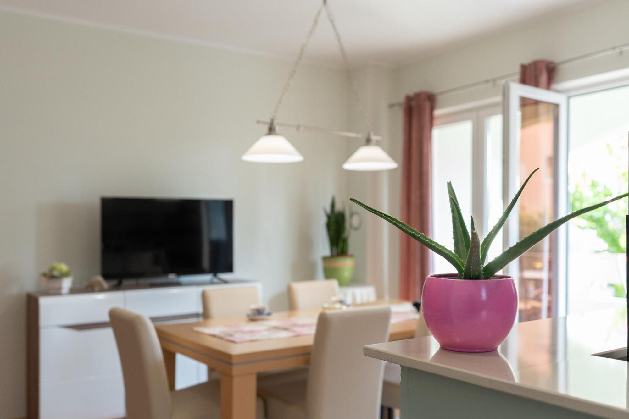 Apartments Jasna 诺瓦利娅 外观 照片